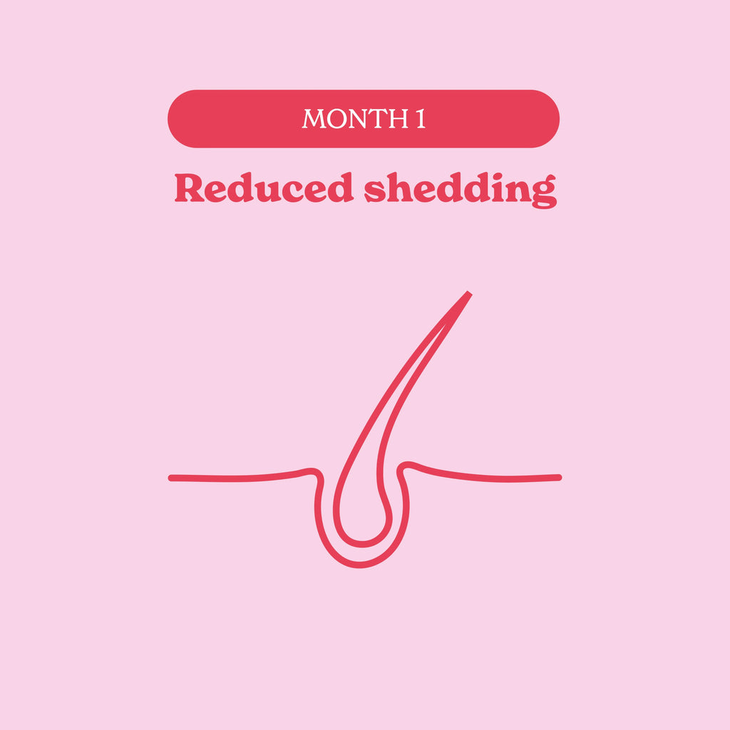 Illustration of a hair follicle with 'Reduced shedding' text on a pink background Muscle Mecca