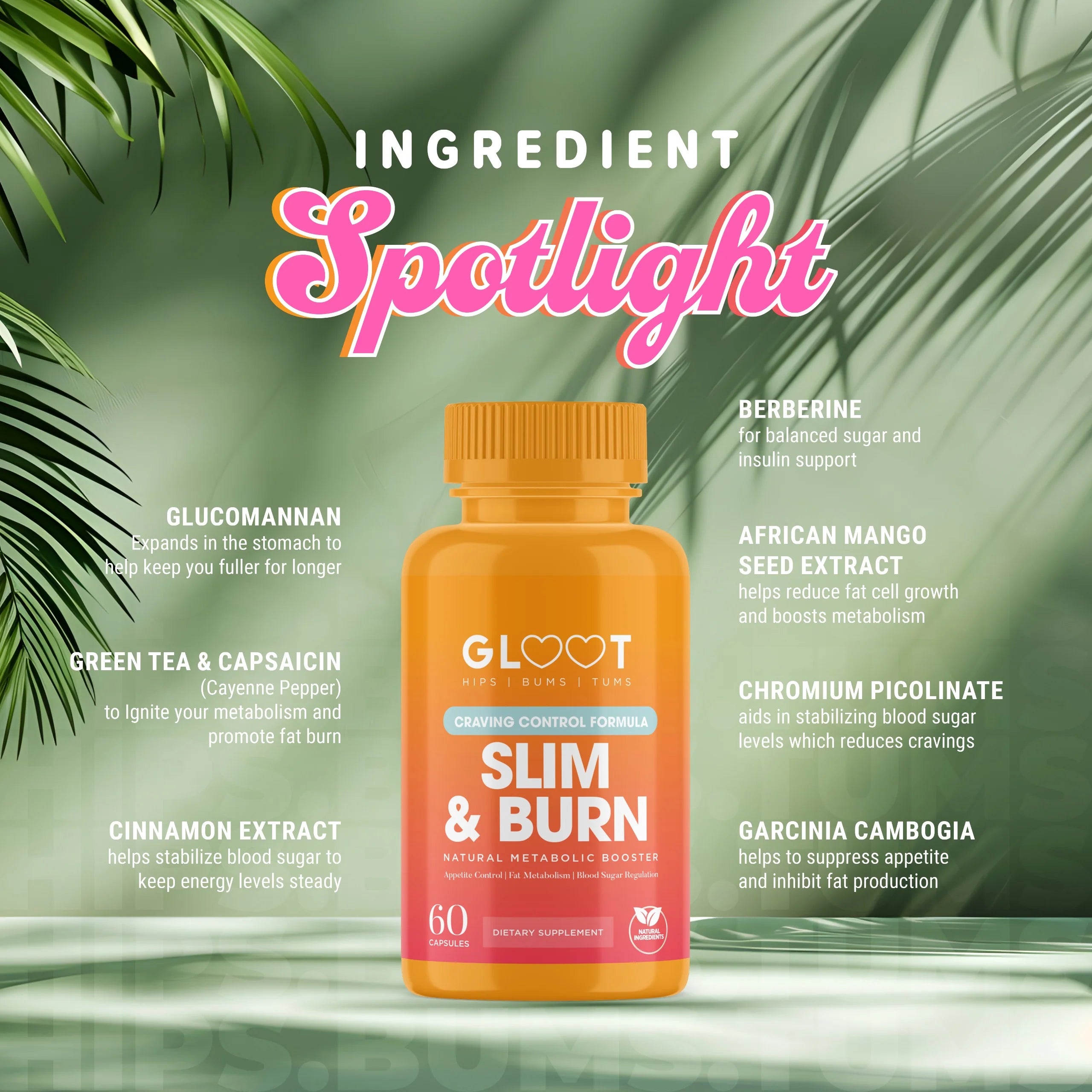GLOOT Slim & Burn supplement bottle with ingredient details on a green leafy background Muscle Mecca