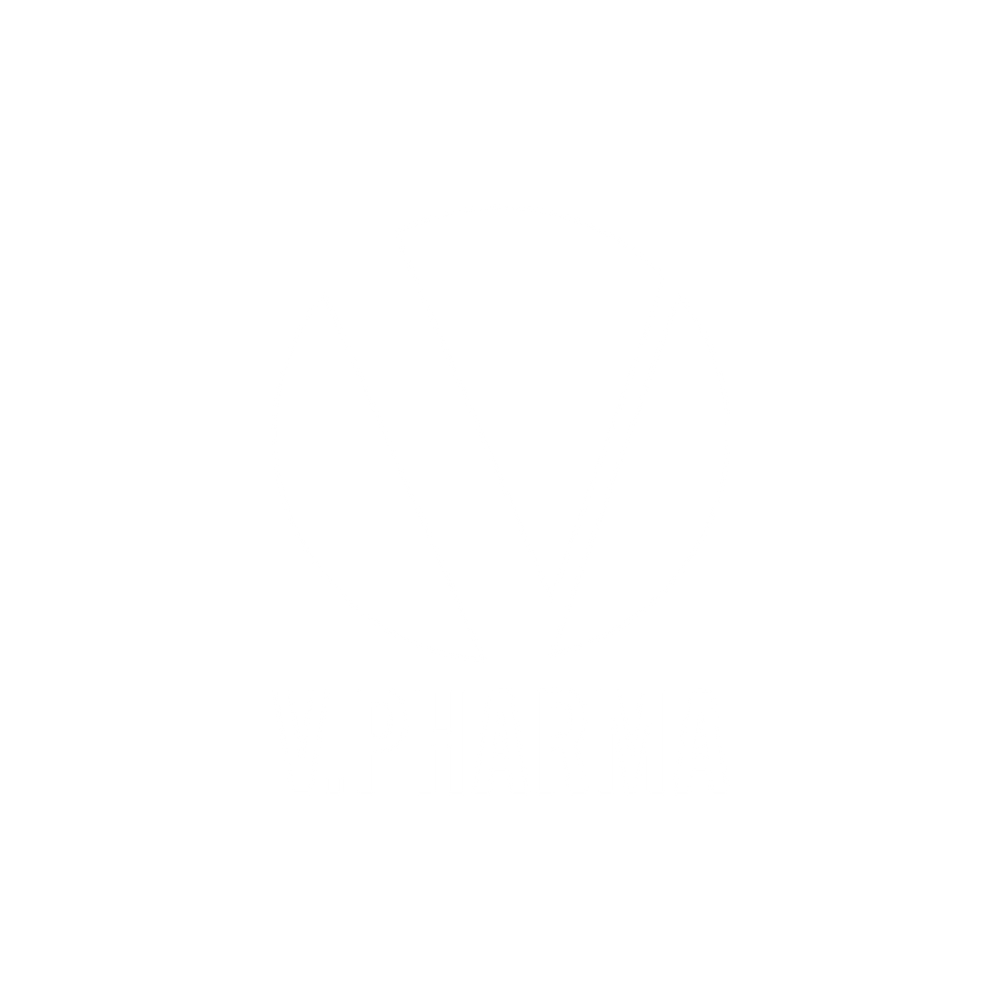 vpharma Logo